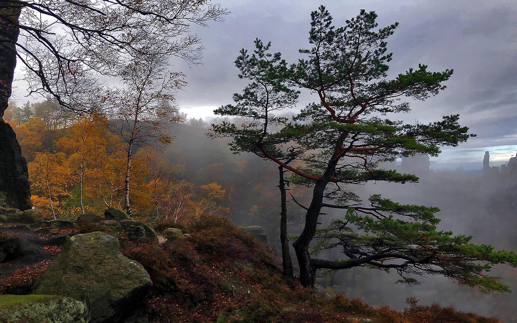 Foto Elbsandsteingebirge Müllerstein