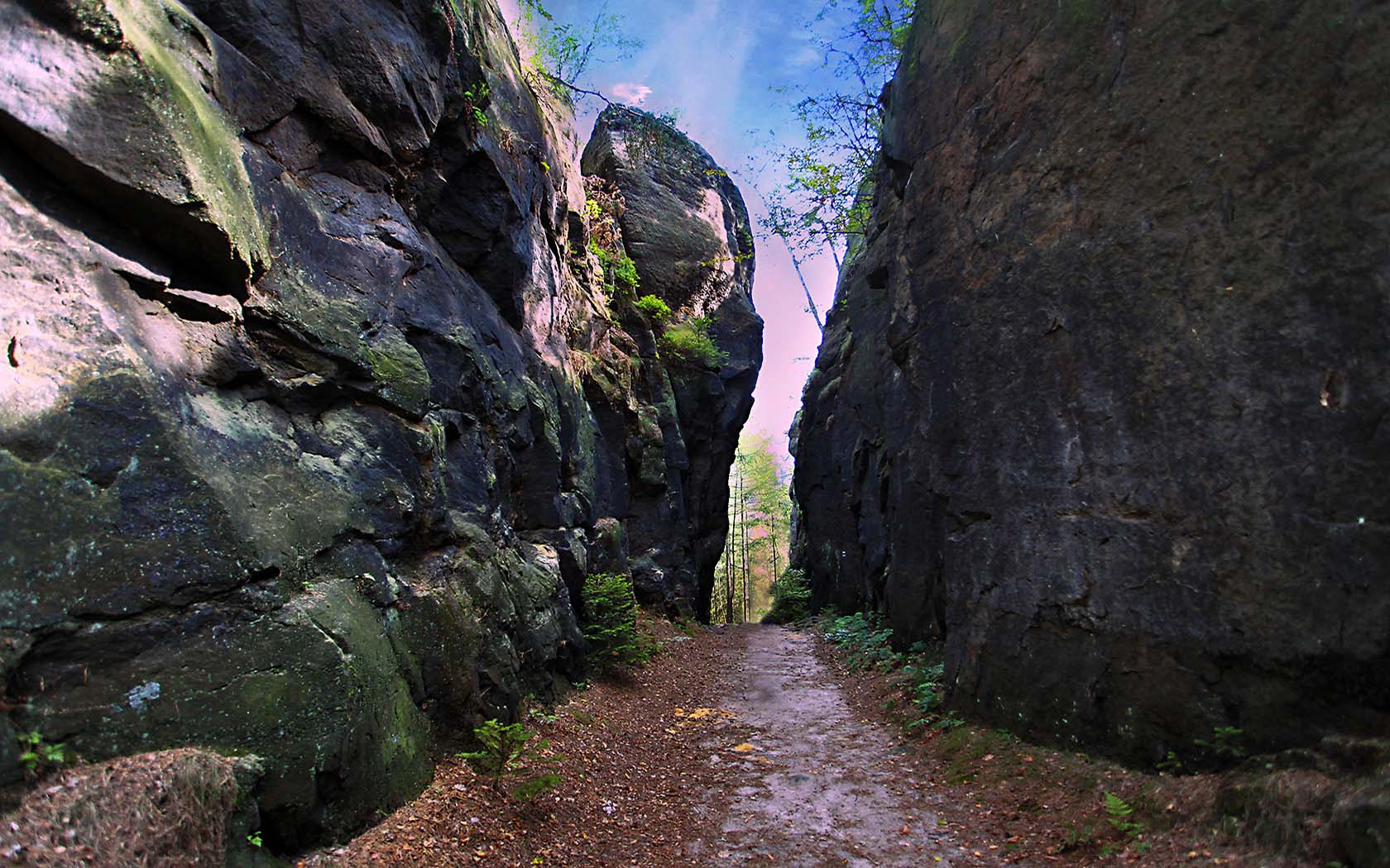 Foto Elbsandsteingebirge Schlucht