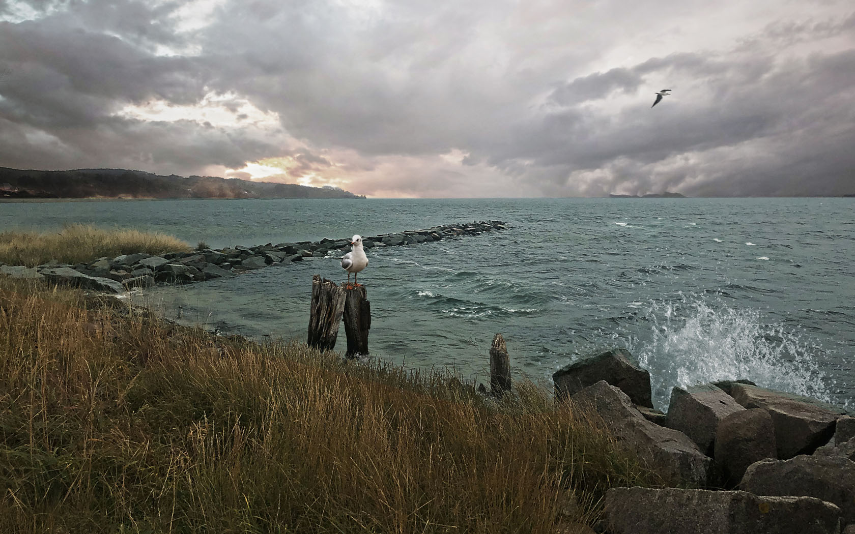 Foto Ostsee Brandung