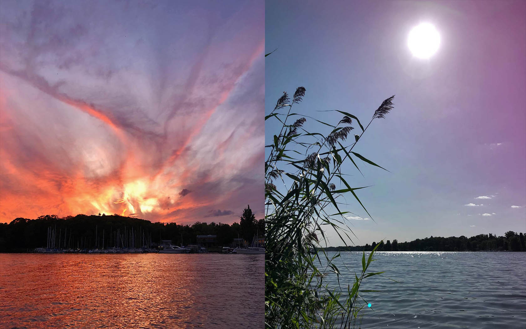 Foto Havel Sonnenuntergang Schilf